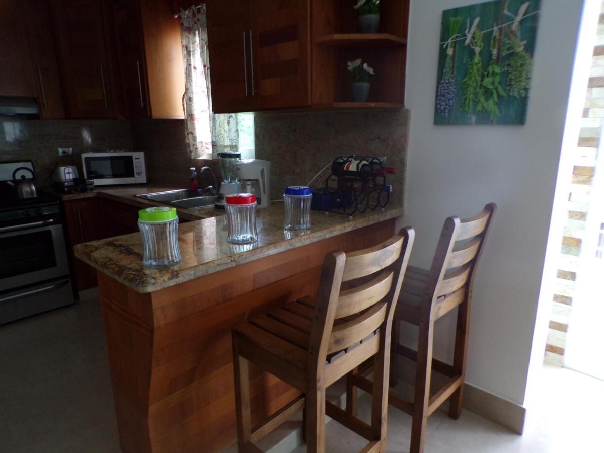 Luxury In The Caribbean Apartment Sosua Ngoại thất bức ảnh